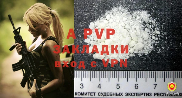 молекула духа Костерёво