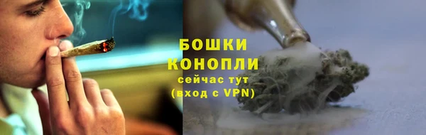 молекула духа Костерёво