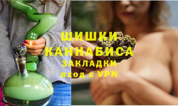 молекула духа Костерёво