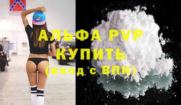 молекула духа Костерёво