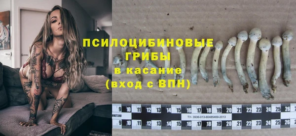 молекула духа Костерёво